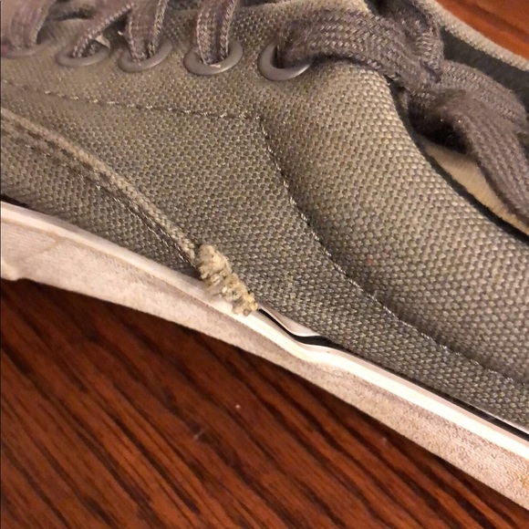 Vans - Picture 4 of 6